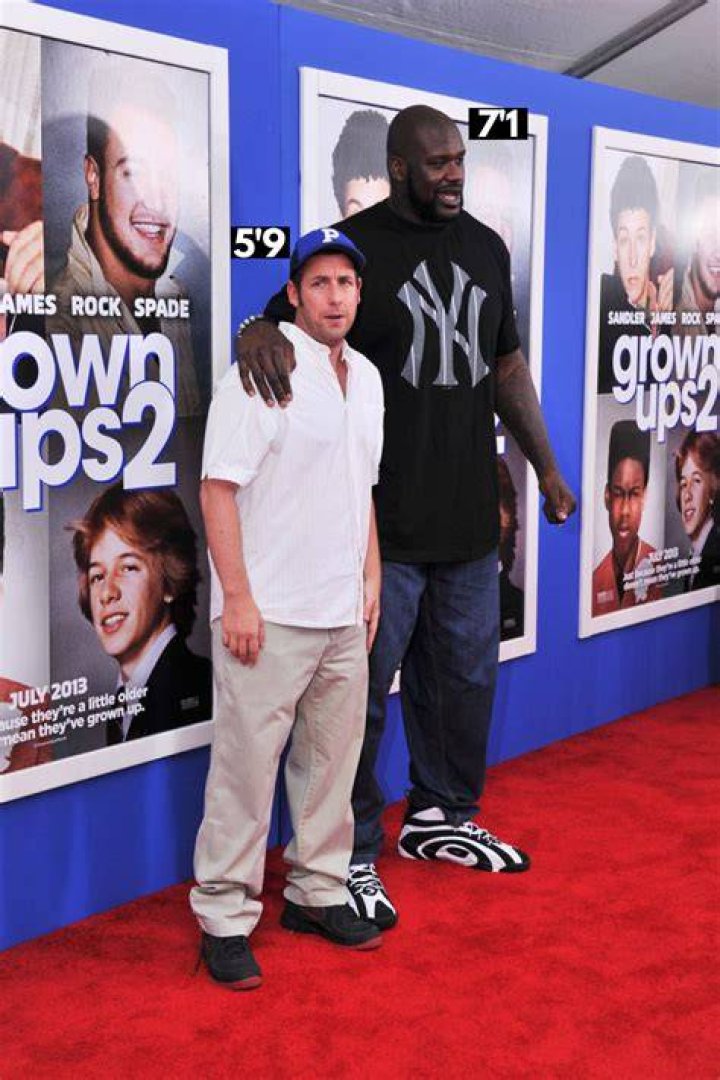 Adam Sandler Height What is The Hight of Adam Sandler? SarkariResult